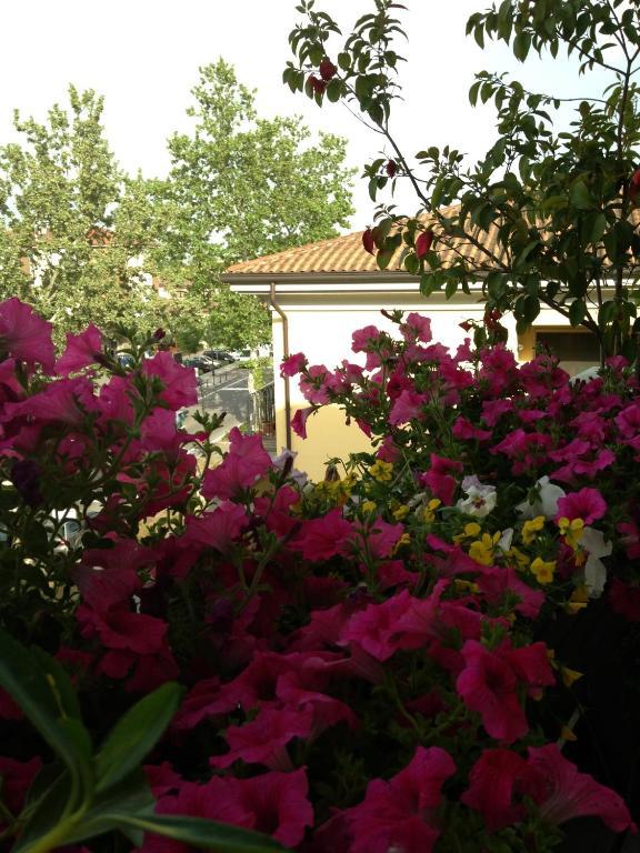 B&B Pitstop Anzola dell'Emilia Dış mekan fotoğraf